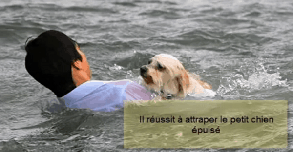 sauvetage d'un chien d'une noyade