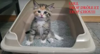 Video De Chat