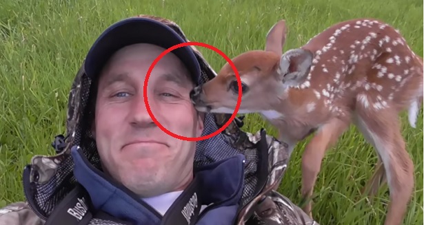 Ce Bebe Cerf Refuse De Lacher Prise Apres Avoir Ete Sauve Ce Que Cet Homme Fait Par La Suite Est